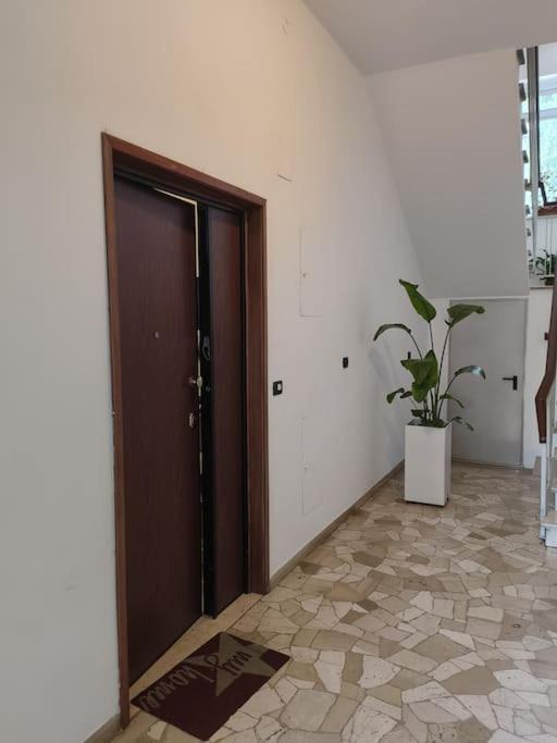 Apartamento 2 Stanze *